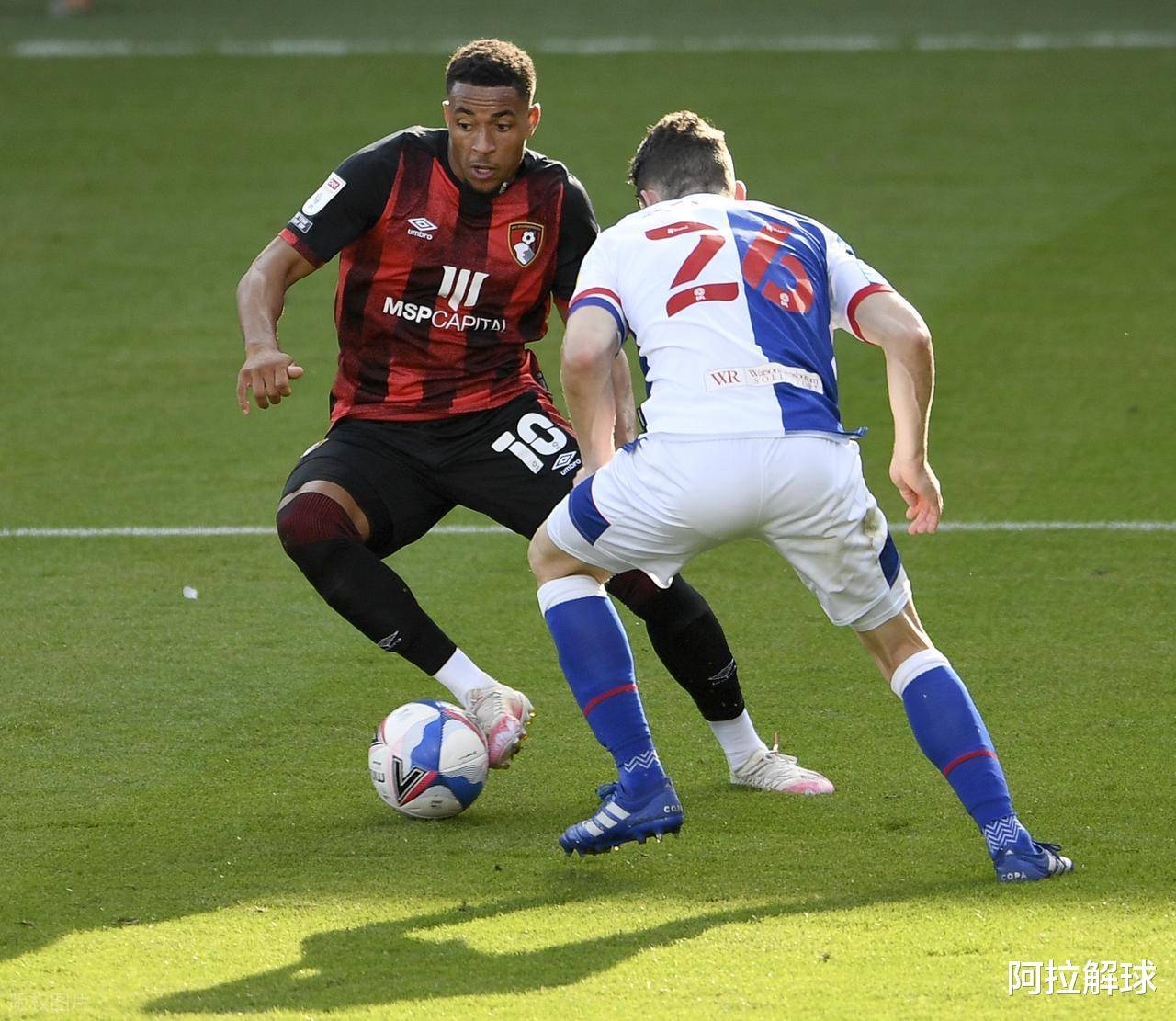 丰臣秀吉为什么敢打明朝